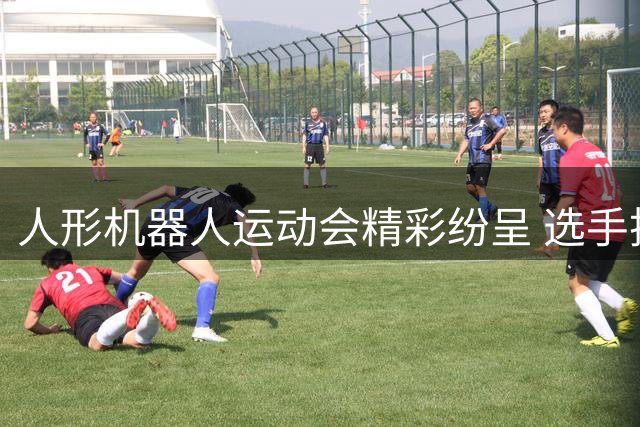 人形机器人运动会精彩纷呈 选手技能惊艳全场
